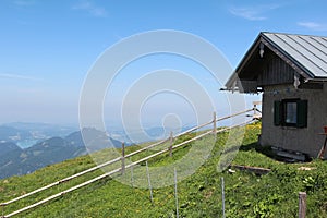 Alpine meadow in the area of Schafberg, Austrian Alps