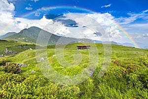 Alpine meadow in beautiful Rodna mountains in Romania photo