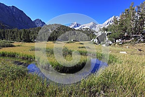 Alpine meadow in California mountains