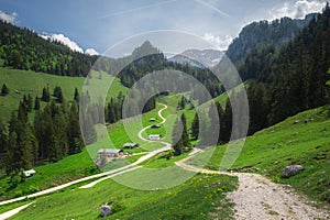 Alpine meadow with cows and rustic houses in Berchtesgaden National Park