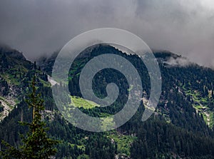 Alpine meadow of krimmler waterfall