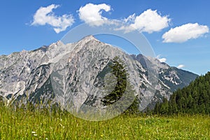Alpine Meadow with Mountain Range in Background. Austria, Tiro