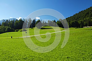 Alpine meadow and road