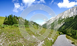 Alpine meadow and road