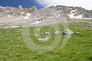 Alpine Meadow And Rocky Summits photo