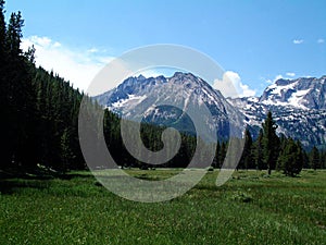 Alpine Meadow and Sawtooth Mountains Near Stanley, Idaho 3