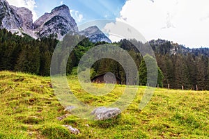 Alpine meadow with some cottages and the Gosau mountain peaks in the background