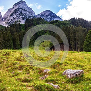 Alpine meadow with some cottages and the Gosau mountain peaks in the background