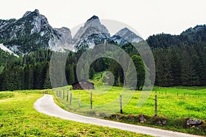 Alpine meadow with some cottages and the Gosau mountain peaks in the background