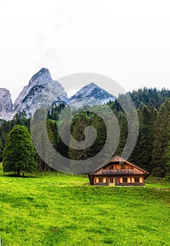 Alpine meadow with some cottages and the Gosau mountain peaks in the background