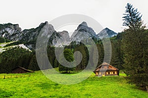 Alpine meadow with some cottages and the Gosau mountain peaks in the background