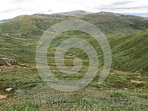 Alpine meadows in Australia