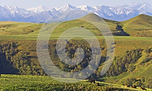 Alpine meadows in the Caucasus mountains