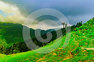 alpine meadows enroute to Prashar Lake