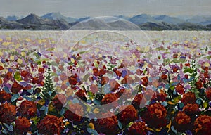 alpine meadows filled with red wildflower poppies in the mountains art