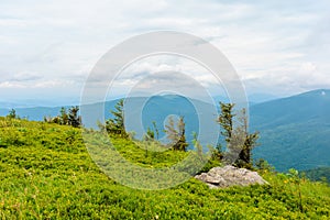 alpine meadows of mnt. runa, ukraine. photo
