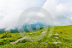 Alpine meadows of mnt. runa, ukraine. photo