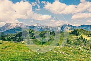 Alpine Meadows, Mountain Valley with Trees, Green Grass and Blue Sky with Clouds. Velika Planina, Slovenia