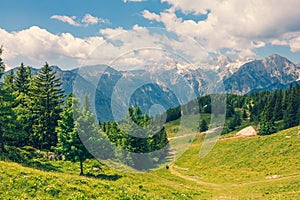 Alpine Meadows, Mountain Valley with Trees, Green Grass and Blue Sky with Clouds. Velika Planina, Slovenia