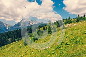 Alpine Meadows, Mountain Valley with Trees, Green Grass and Blue Sky with Clouds. Velika Planina, Slovenia