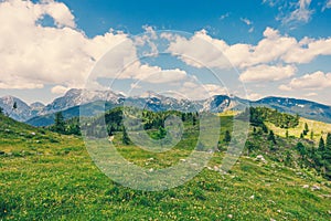 Alpine Meadows, Mountain Valley with Trees, Green Grass and Blue Sky with Clouds. Velika Planina, Slovenia