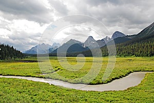 Alpine meadows and mountains