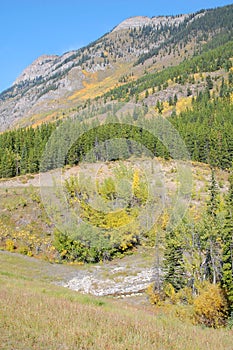 Alpine meadows and mountains