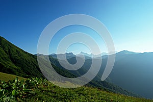 Alpine meadows and mountains in the mist blue with beautiful summer landscape