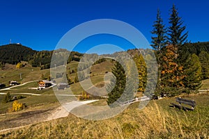 Alpine meadows near Alta Batia, Abbey Valley photo