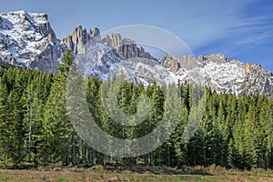 Alpine meadows near Cortina D Ampezzo with Dolomites alps, Italy photo