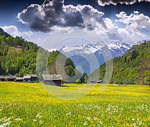 Alpine meadows near the village of Bondo