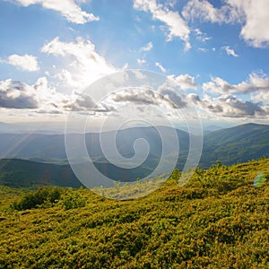 Alpine meadows of runa mountain photo