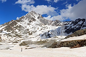 Alpine mountain Corno dei Tre Signori and snowfield in Stelvio National Park photo