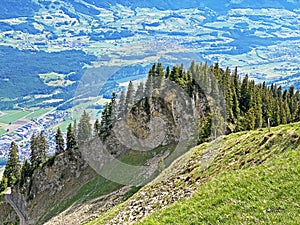 Alpine mountain hill HÃ¶rnli Hoernli or Hornli in the Swiss mountain range of Pilatus and in the Emmen / Schweiz