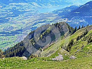 Alpine mountain hill HÃ¶rnli Hoernli or Hornli in the Swiss mountain range of Pilatus and in the Emmen / Schweiz