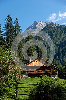 Alpine mountain home in Bergeralm near Rasen-Antholz (Anterselva) in summer