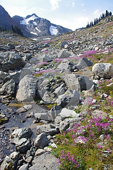 Alpine mountain landscape