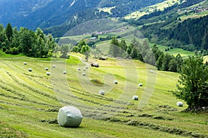 Alpine mountain landscape with farm fields and hay bales in the Swiss Alps above Andeer village