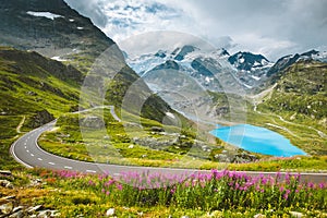 Alpine mountain scenery with country road in summer