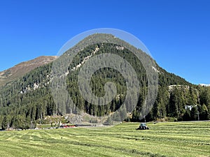 Alpine mountain Seehorn (2238 m) covered with evergreen forest above the tourist and sports mountain lake Davos