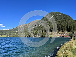 Alpine mountain Seehorn (2238 m) covered with evergreen forest above the tourist and sports mountain lake Davos