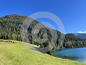 Alpine mountain Seehorn (2238 m) covered with evergreen forest above the tourist and sports mountain lake Davos