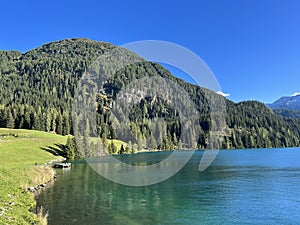 Alpine mountain Seehorn (2238 m) covered with evergreen forest above the tourist and sports mountain lake Davos