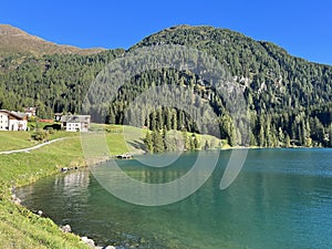 Alpine mountain Seehorn (2238 m) covered with evergreen forest above the tourist and sports mountain lake Davos