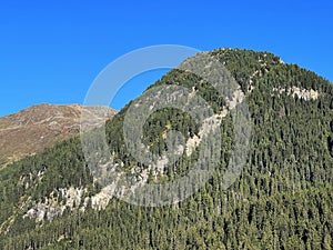 Alpine mountain Seehorn (2238 m) covered with evergreen forest above the tourist and sports mountain lake Davos