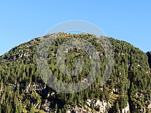 Alpine mountain Seehorn (2238 m) covered with evergreen forest above the tourist and sports mountain lake Davos