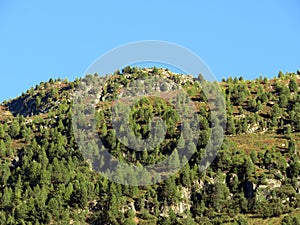 Alpine mountain Seehorn (2238 m) covered with evergreen forest above the tourist and sports mountain lake Davos