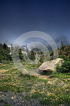 Alpine Mountain Tundra HDR