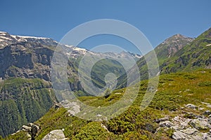 Alpine mountains with forest and granite tops with glaciers , France