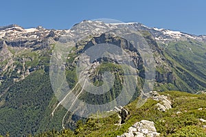 Alpine mountains with forest and granite tops with glaciers , France